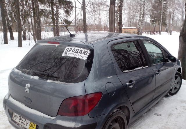 Peugeot 307 2004 Московская область, Мещерино