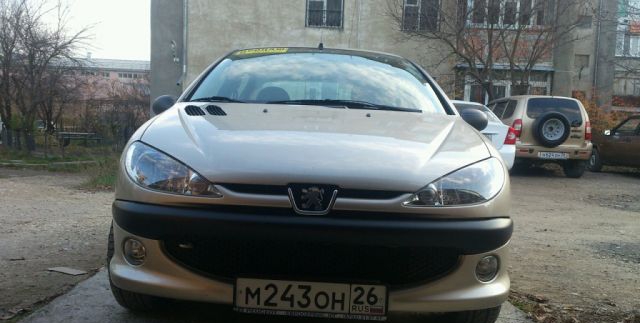 Peugeot 206 2009 Ставропольский край, Пятигорск