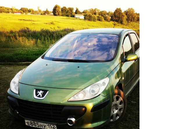 Peugeot 307 2007 