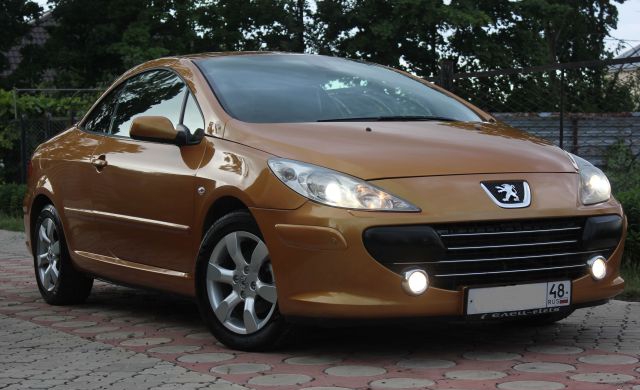 Peugeot 307 2006 
